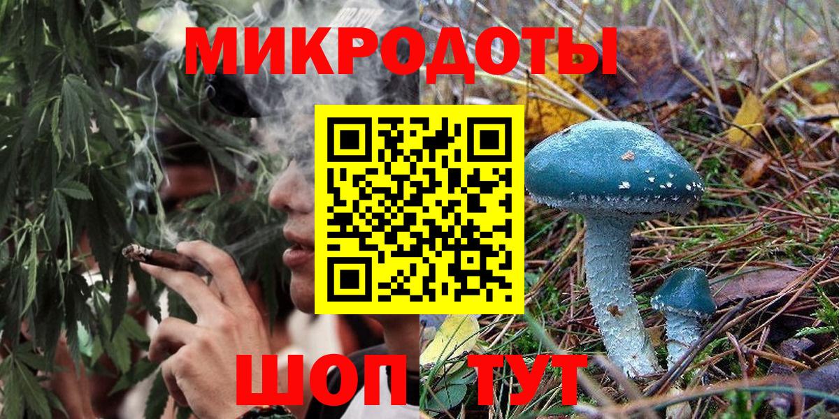 Фролово  Псилоцибиновые грибы Psilocybe  Вход с VPN 